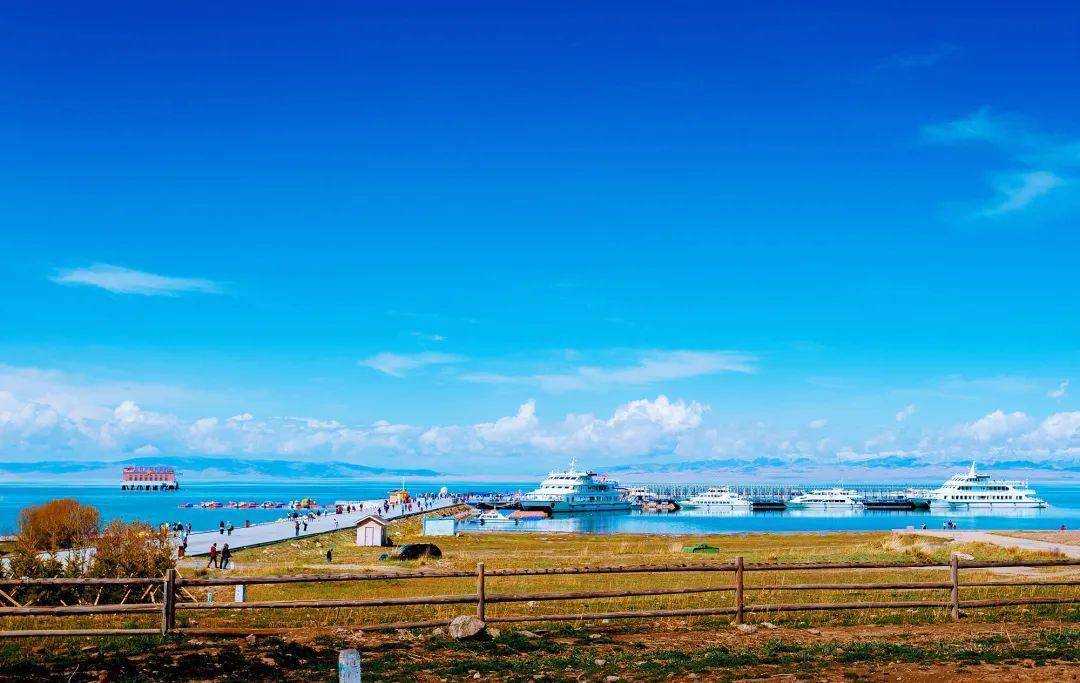 青海,深度解读高原魅力与独特风情评论文章